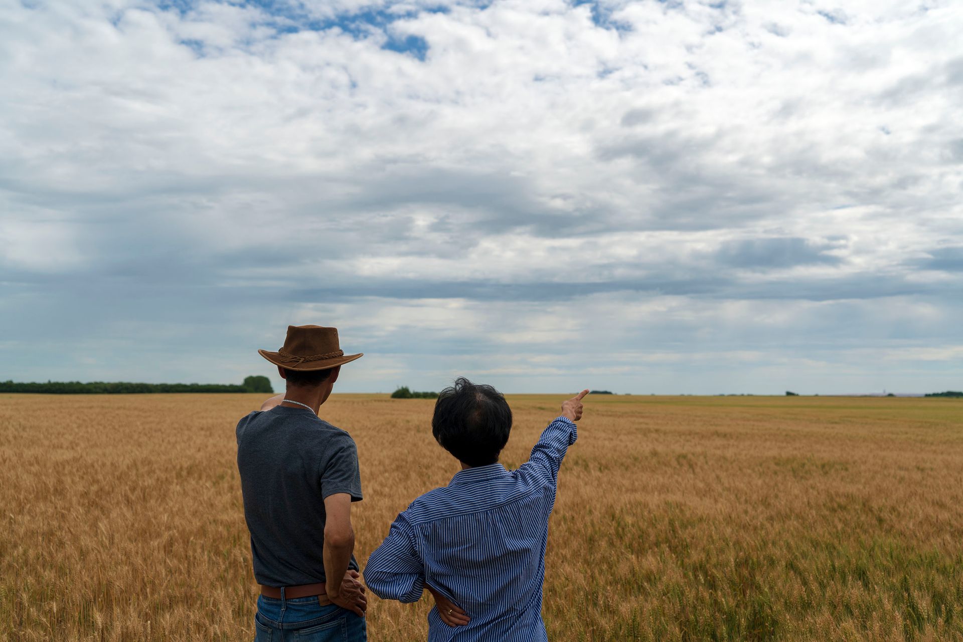 Agronomist and farmer consulting in wheat field