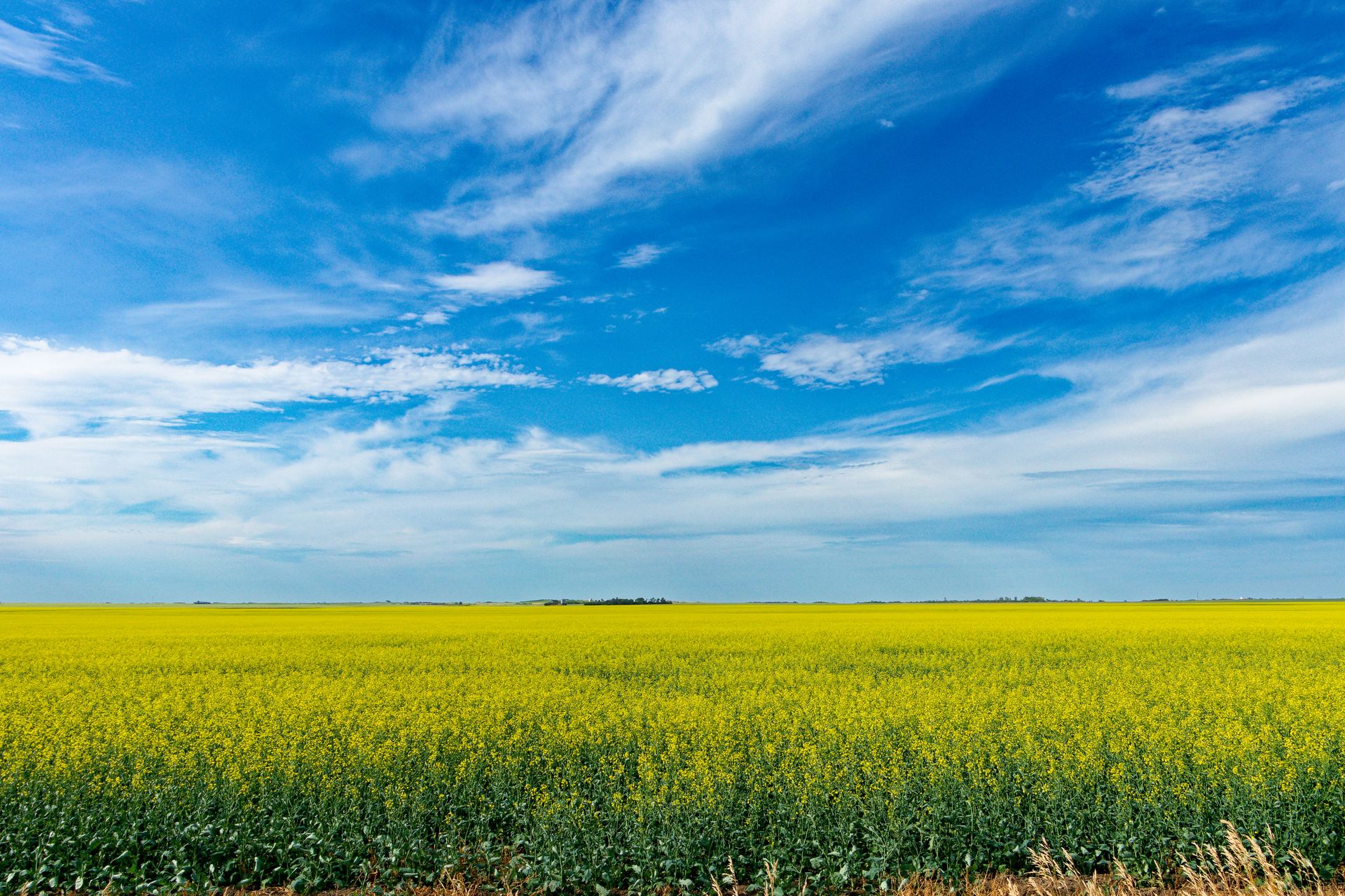 Wide prairie farm landscape with big sky and horizon